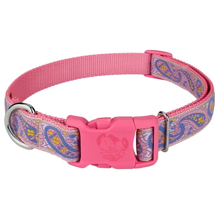 - Country Brook Petz® Deluxe Baby Paisley with Pink Buckle Dog Collar