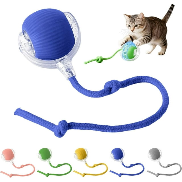 Jouet pour Chat, Jouet Interactif pour Chat avec Balle et Queue, Jouets Roulants Rechargeables par USB, Mouvement 360° pour Chats et Chatons d'Intérieur, Jouet de Poursuite Intelligent, Bleu