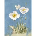 thumbnail image 3 of Nai, Danhui 19x24 Black Modern Framed Museum Art Print Titled - White Poppies I, 3 of 5