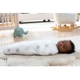 thumbnail image 3 of Aden + Anais™ Essentials 2-Pack Swaddles - Cotton Muslin - Dusty, 3 of 9