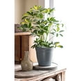 thumbnail image 4 of HC Companies 12 In Eclipse Planter w/ Attached Saucer, Warm Gray (2 Pack), 4 of 5