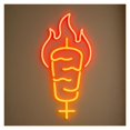 thumbnail image 1 of Letrero De Neón Fire Kebab Con Luz LED Regulable, Alimentación USB Para Restaurantes De Comida Rápida, Cocinas, Barbacoas Y Decoración De Fiestas 38cm, 1 of 3