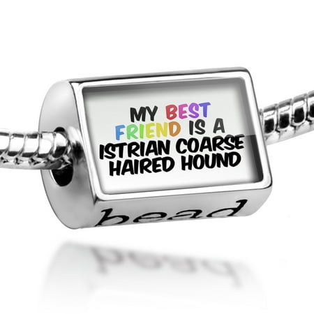 Bead My best Friend a Istrian Coarse-haired Hound Dog from Croatia Charm Fits All European