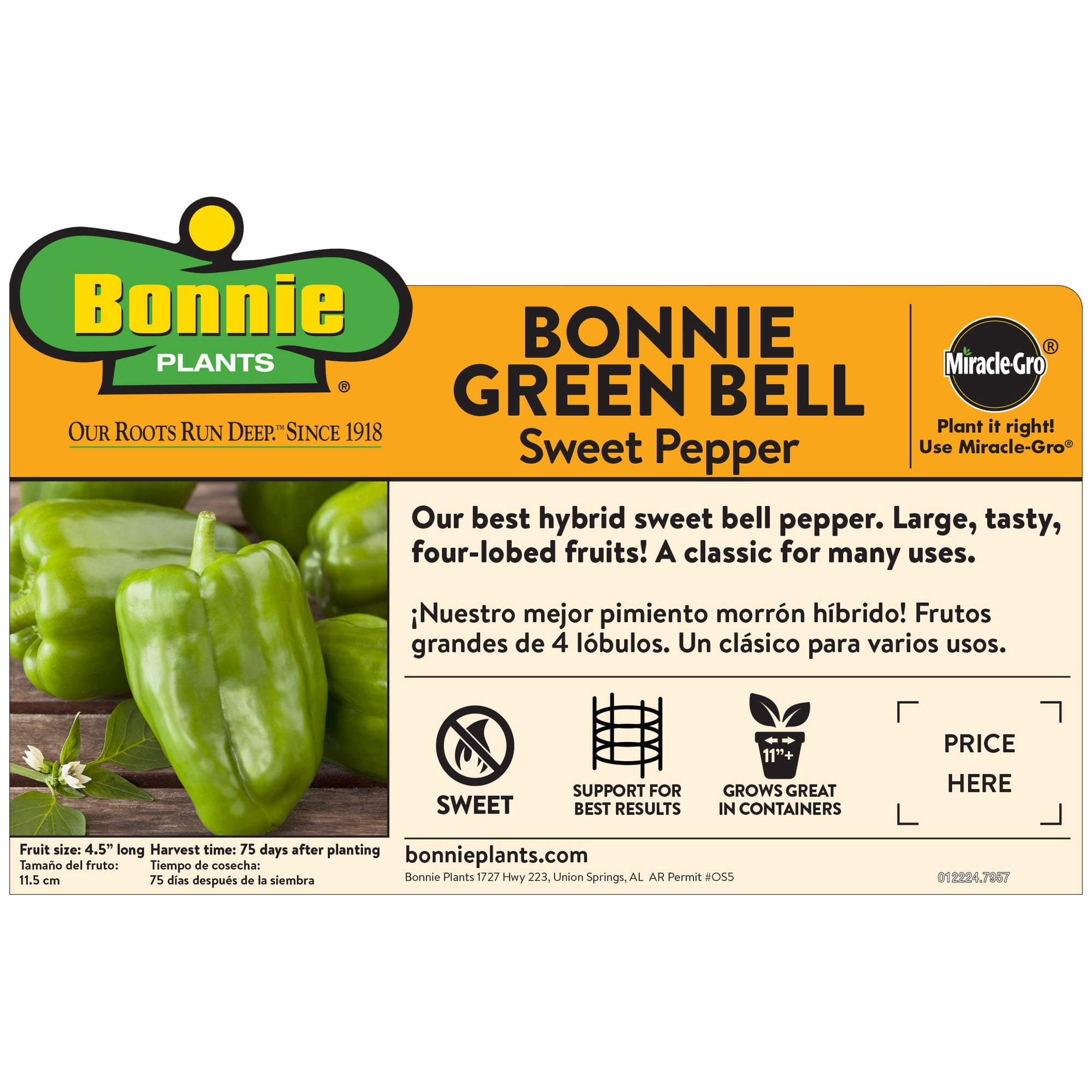 Bonnie Plants Green Sweet Bell Pepper 19.3 oz.