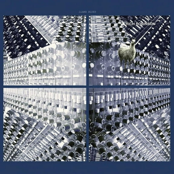 Rich Robinson - Llama Blues EP - Rock - Vinyl