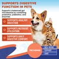 thumbnail image 4 of Probiotics & Prebiotics with Enzymes for Dogs and Cats - Digestive & Gut Flora Support Pet Food Supplement - Supports Digestive Comfort, 4 of 6