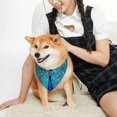 thumbnail image 2 of KLL Beautiful Blue Peacock Dog Bandanas,Triangle Reversible Pet Scarf for Small Medium Large and Extra Large Dogs-Medium, 2 of 4