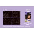 thumbnail image 4 of Dark & Lovely Permanent Hair Color #372, 4 of 5