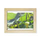 thumbnail image 1 of El verano de estanque de loto raiz Escritorio de madera Arte Pintura 6x8 pulgadas marco de foto foto, 1 of 4