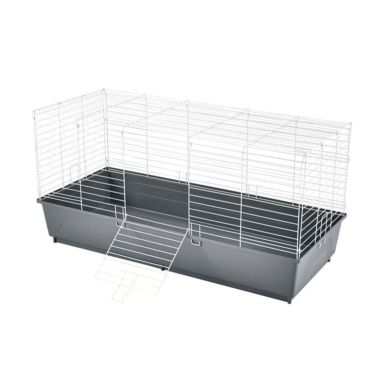 Guinea pig starter kit walmart online