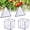 2Cubes+2Triangles, variant on Fruit Shaping Mold for Growing Unique, 4PCS Creative Fruit Shaping Molds, Triangular & Cubic Molds for Tomato Strawberry, Reusable Clear Plastic Garden Plant Shapers
