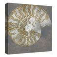 thumbnail image 4 of Nautilus I by Mark Chandon Mollusk Canvas Art, 4 of 4
