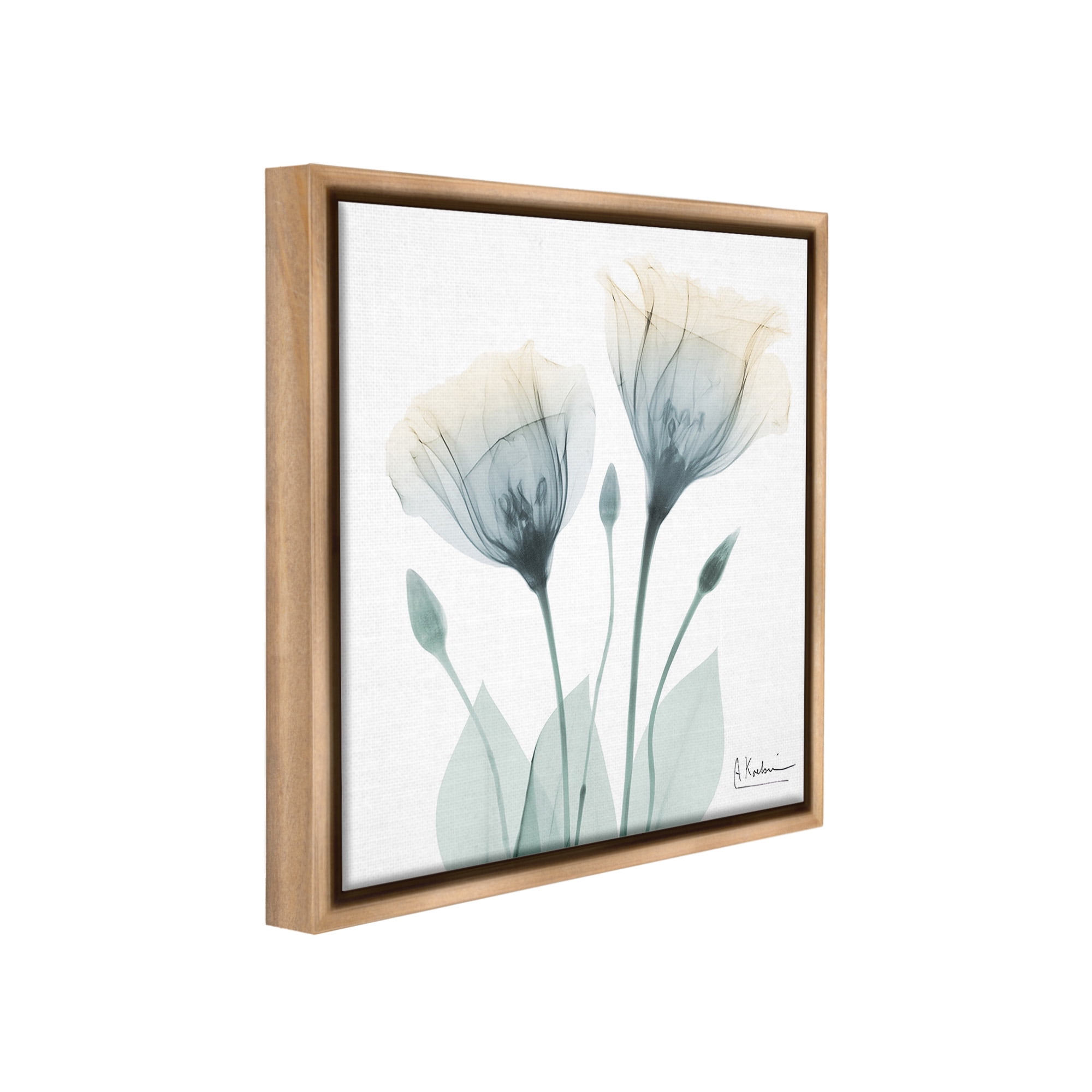 Stupell Industries Opaque Tulip Duo Botanical & Floral Photography Brown Floater Framed Canvas Art Print Wall Art, 18 x 18