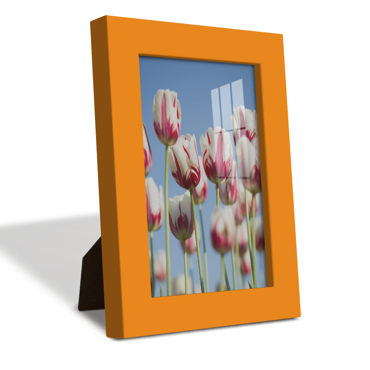 Modern 4 in. x 6 in. Orange Picture Frame (Set of 4)