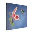 thumbnail image 2 of Trademark Fine Art 'Hummingbird And Lily' Canvas Art by Rusty Frentner, 2 of 3