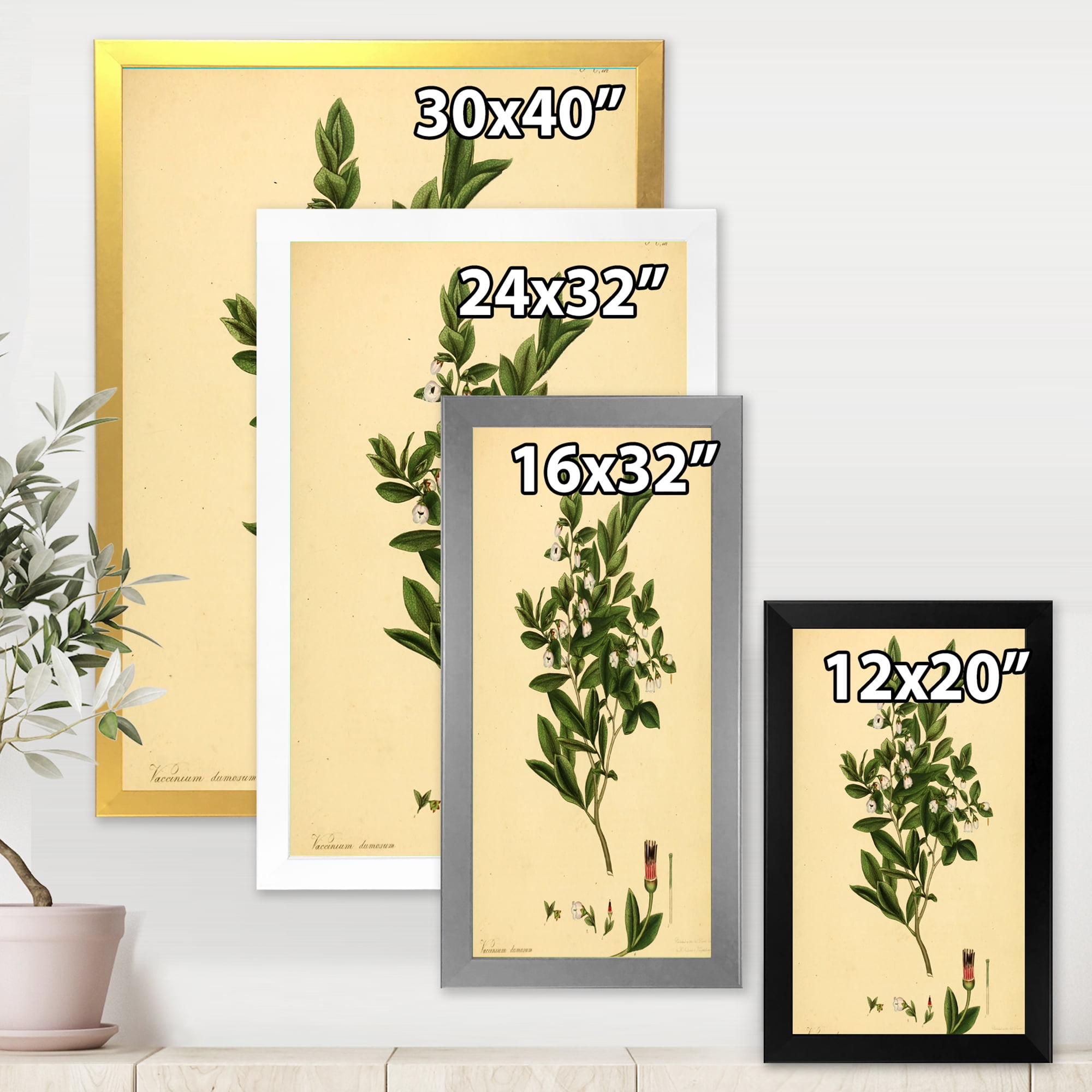 Designart 'Ancient Plant Life XXV' Traditional Framed Art Print