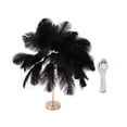 thumbnail image 2 of Ostrich Feather Night Light, Rechargeable Modern LED Decorative  Light with Feathers Dimmable Bedside Table Lamp Touch Switch Ostrich Feather Lamp for Bedroom Nightstand, 2 of 8