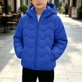 thumbnail image 5 of DJDLJWCJ Boys Quilted Jacket Thicken Warm Long Sleeve Full Zipper Puffer Jacket Comforty Thermal Down Coat with Hooded Blue Size 3T, 5 of 7