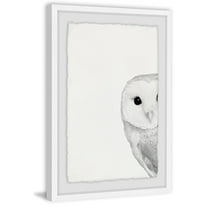 Marmont Hill Owl Framed Art Prints, by Maria Giovanni