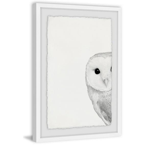 Marmont Hill Owl Framed Art Prints, by Maria Giovanni