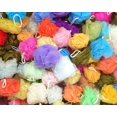 Loofah Lord 20 Bath or Shower Sponge Loofahs Pouf Mesh Assorted Colors