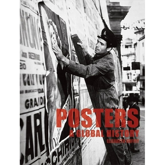Posters : A Global History (Paperback)