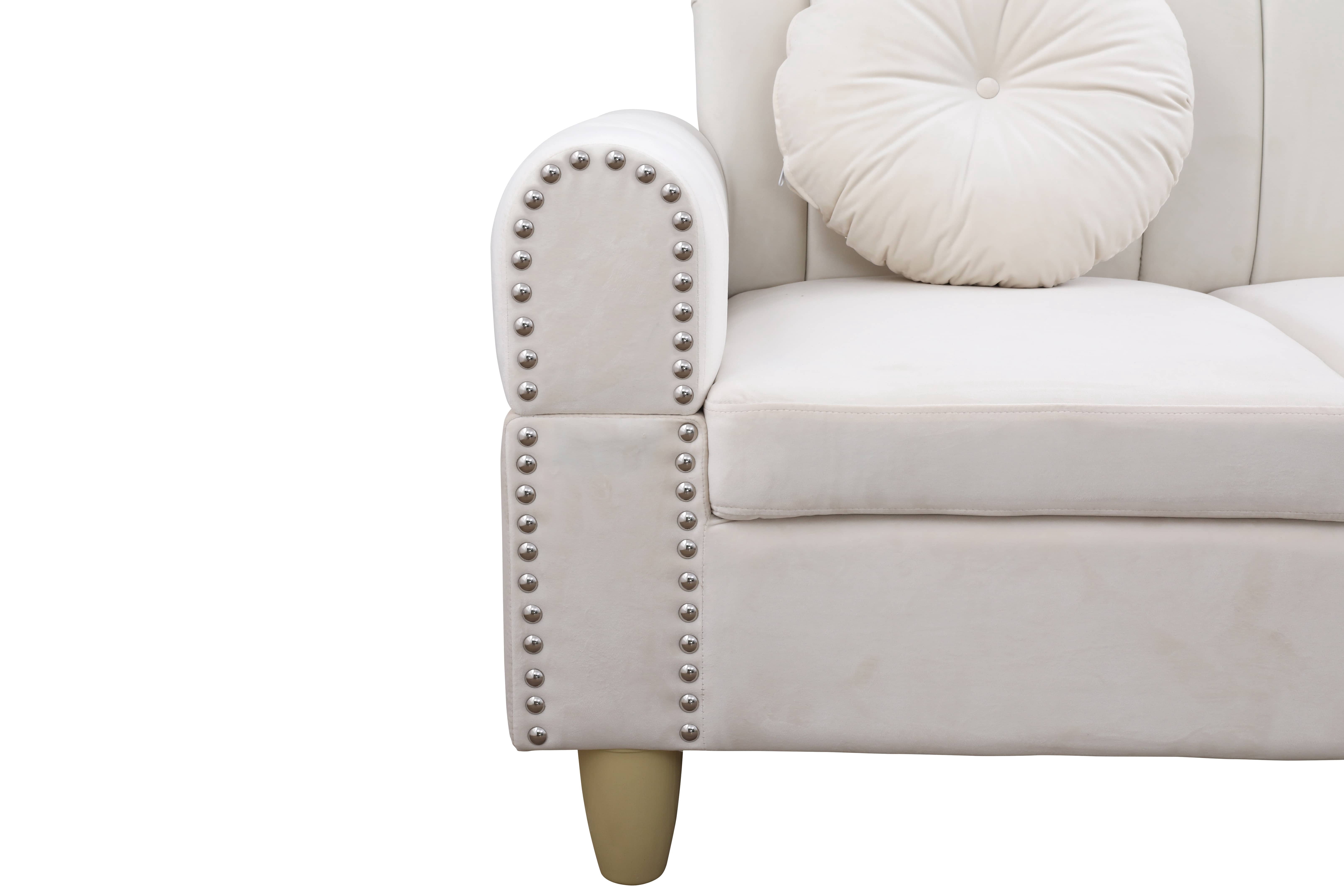 MAYEERTY Modern Adult Beige Lint 2-Piece Couch Living Room Sofa Set