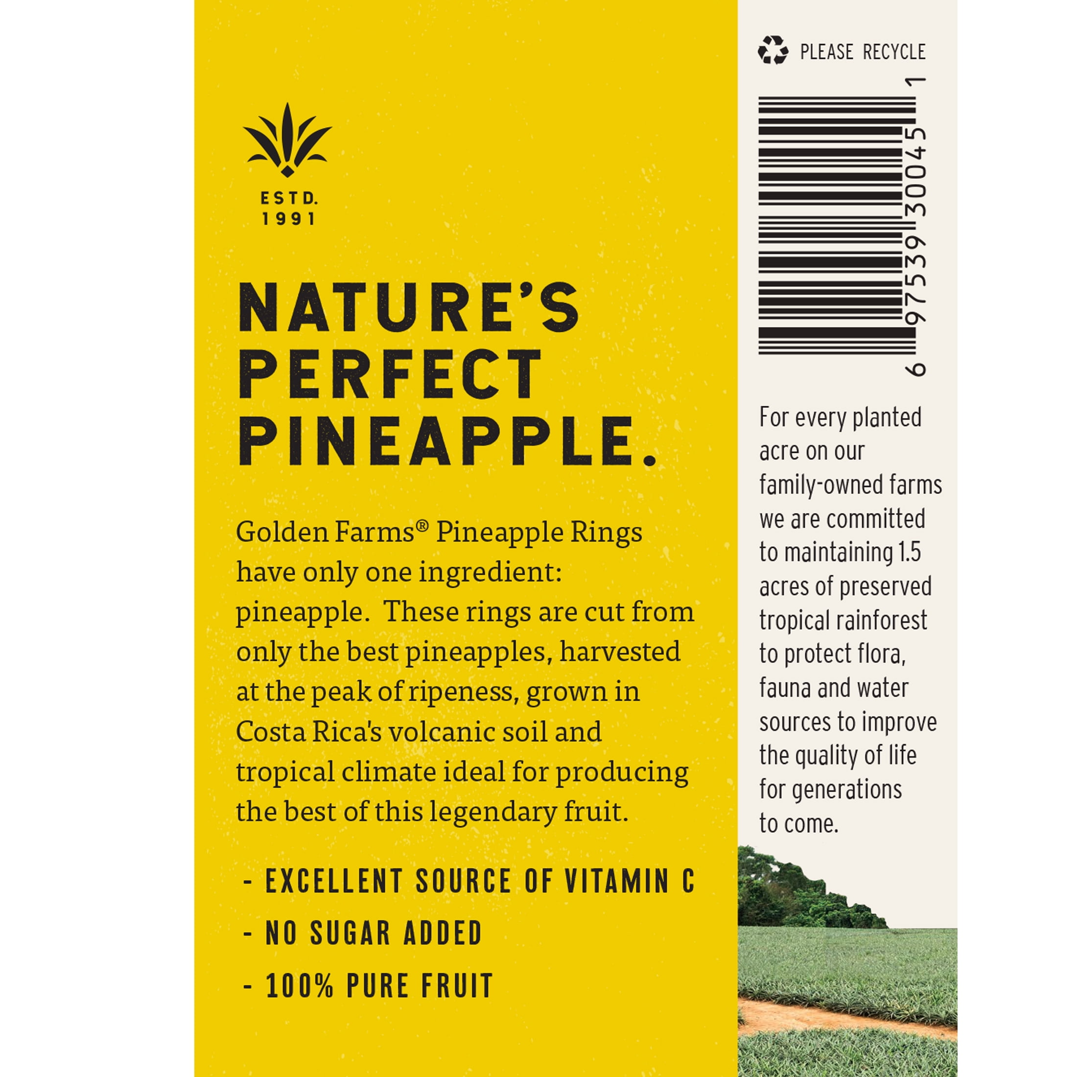 (4 pack) Golden Farms Unsweetened Conventional Pineapple Rings, 14 Oz Can