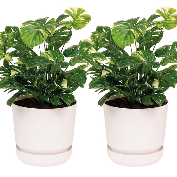 Set de 2 Macetas Cilíndricas Elly Decor 30 cm con Auto-Riego Blanco