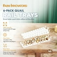 thumbnail image 2 of Farm Innovators Replacement Tray Rail 120 Quail and Small Egg Egg Incubator (6 Pack), 2 of 10