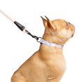 thumbnail image 4 of One Paw, Dog 3-Pack Collar Leash Set, With Bag Dispenser, Multiple Colors and Sizes, 4 of 5