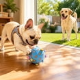 thumbnail image 6 of AuroraX Dog Toys for Small Dogs Balls Soft Dog Toy for Fetch Durable Colorful Interactive Squeaky Dog Toys for Outdoor Play Blue National Dog Day International Cat Day, 6 of 7
