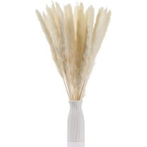 15pcs Dried Flowers 17 inch Natural Dried Pampas Grass Reed Plant with Box Real Flowers Romantic Wedding Flower Bulrush Bouquets Flavorful Durable for DIY Home Decor Matching Photography (White)