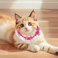 thumbnail image 4 of Collier Chat Tricoté Minimaliste Moderne Ajustable Doux Confortable pour Petits Compagnons Félins, 4 of 4