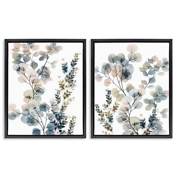Stupell Industries Collage of Translucent Plants Botanical & Floral Photography Black Floater Framed Canvas Art Print Wall Art, 17 x 21, Set of 2