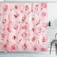 thumbnail image 1 of Ambesonne Rose Shower Curtain, Fresh Garden Yard, 69"Wx75"L, Pale Pink, 1 of 3