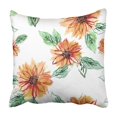 thumbnail image 1 of RYLABLUE Brown Hand Sunflowers Watercolor Artistic Colorful Abstract Autumn Blooming Color Pillowcase 20x20 inch, 1 of 1