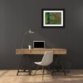 thumbnail image 3 of Fitzharris, Tim 14x12 Black Ornate Wood Framed with Double Matting Museum Art Print Titled - Sweetgum along Wilton Landing-Millwood Lake-Arkansas, 3 of 4