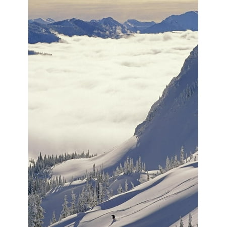 Fresh Henna - Skier Skiing Fresh Deep Powder in Backcountry Near Fernie, East Kootenays, British Columbia, Canada Print Wall Art By Henry Georgi