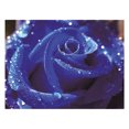 thumbnail image 1 of Pintura de diamante DIY Hugo 5D perforación completa 6, 1 of 10