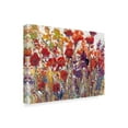 thumbnail image 2 of Trademark Fine Art 'Variety of Flowers I' Canvas Art by Tim OToole, 2 of 4