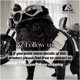 thumbnail image 3 of Puppy Dog Sweaters for Small Medium Dogs Cats Clothes Winter Warm Pet Turtleneck Chihuahua Vest Soft Yorkie Coat Teddy Jacket ShopWise Round, 3 of 3