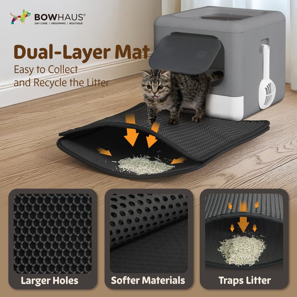 CAPHAUS Foldable Cat Litter Box with Lid for Kitten, Two-Way Entry & Exit Small Cat Box with Scoop, Cat Mat and Odor Fitter, Drawer Type Litter Pan for Easy to Clean, Dark Grey