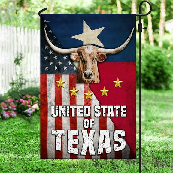 FLAGWIX American Flag - Texas Longhorn American Flag THN3685F - Garden Flag (11.5" x 17.5")