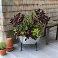 thumbnail image 5 of Achla C-52 Designs Embossed Galvanized Steel Tub, 5 of 5