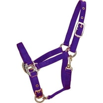 Hamilton Halter Company - Adjustable Chin Halter With Snap- Purple Pony - 3DAS POPU