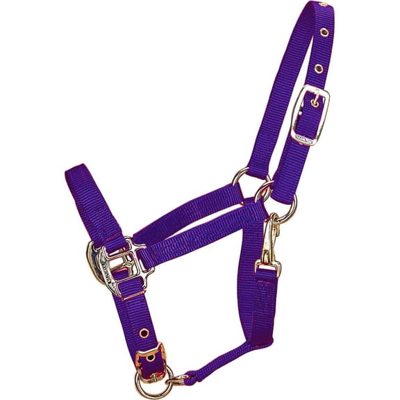 Hamilton Halter Company - Adjustable Chin Halter With Snap- Purple Pony - 3DAS POPU