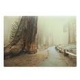 thumbnail image 1 of Landscape Cutting Board, Forest with Serene Giant Tree Body in the Foggy Forest Yosemite Mist Woodland Print, Decorative Tempered Glass Cutting and Serving Board, Large Size, Brown, by Ambesonne, 1 of 1