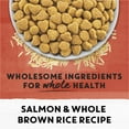thumbnail image 3 of Purina Beyond Wholesome Ingredients Indoor Dry Cat Food, Salmon & Rice, 3 lb Bag, 3 of 11