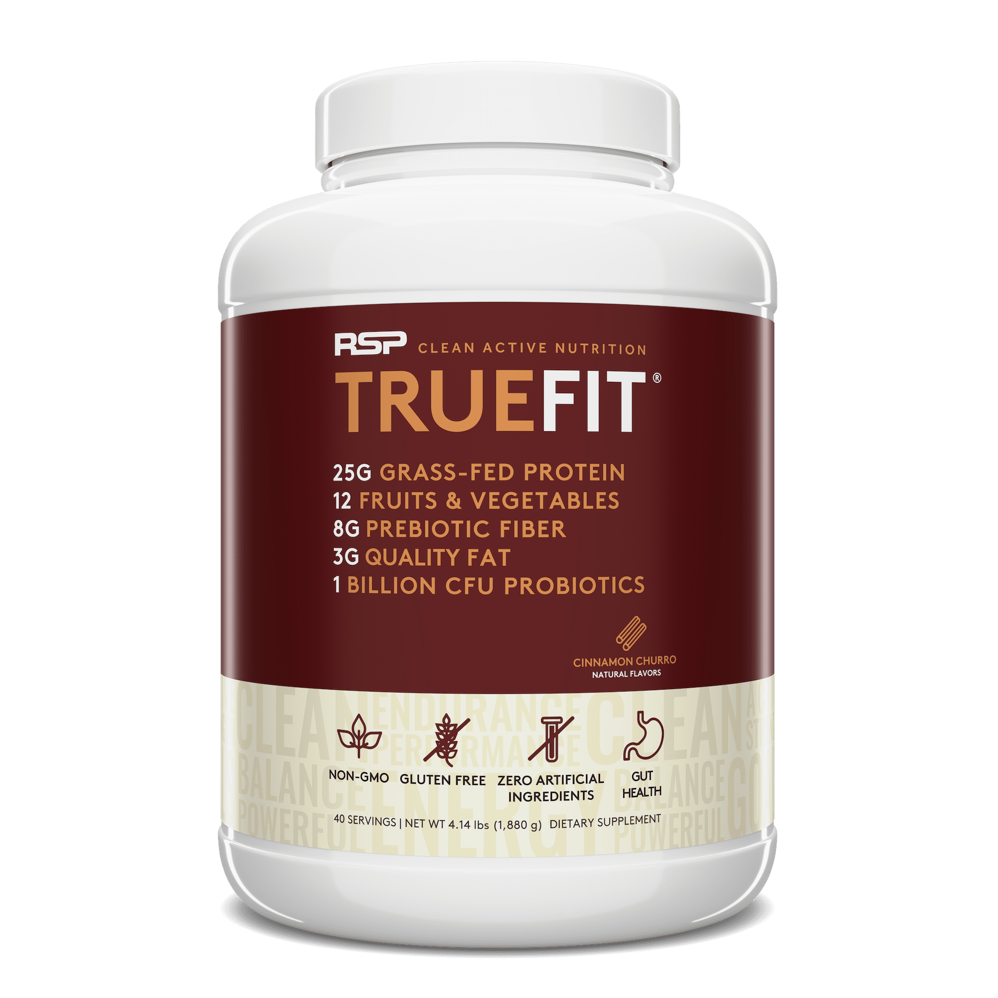 TrueFit Meal Replacement Shakes Powder, Cinnamon Protein Powder, Churro